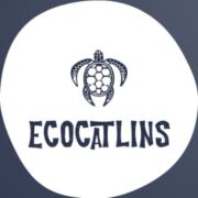 (c) Catlins-ecotours.co.nz