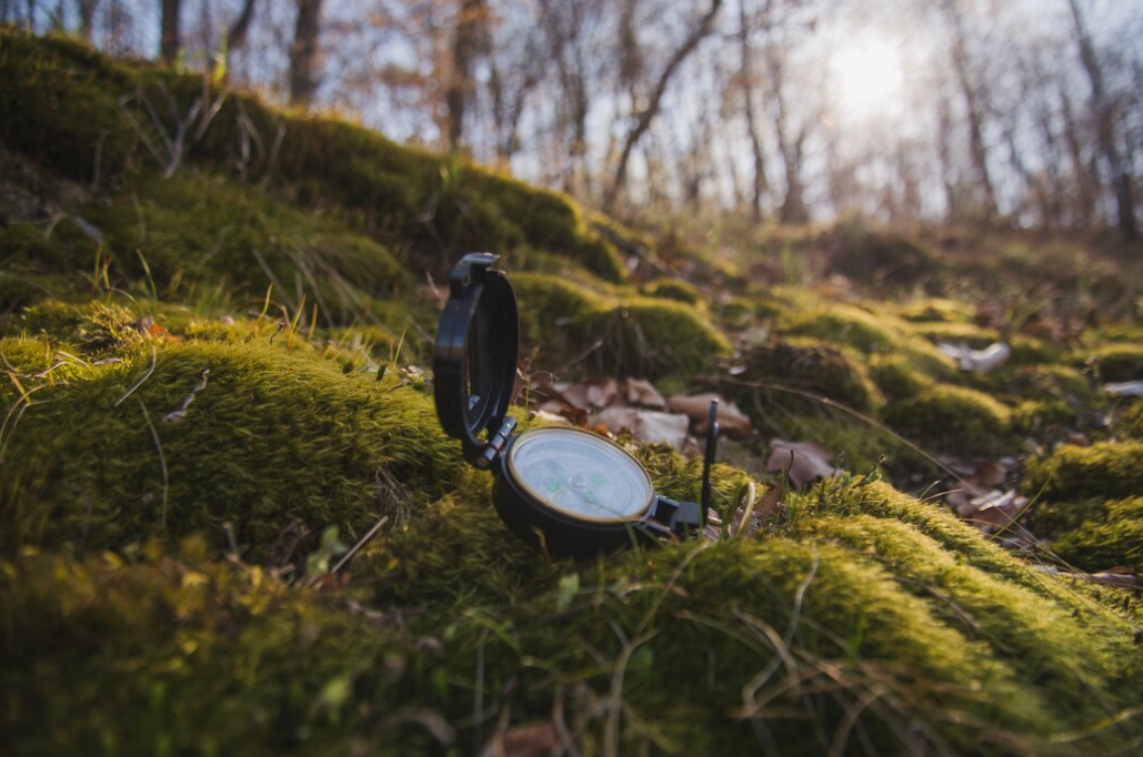 A compass on lush green moss with sun filtering through the trees in the background.