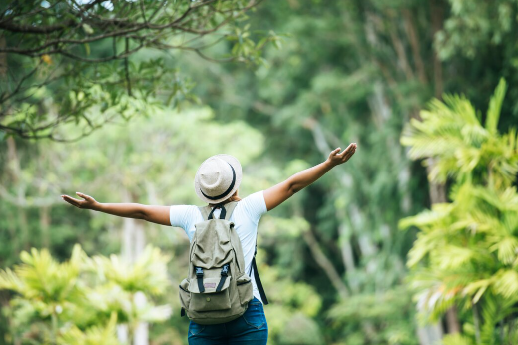A traveler with outstretched arms, enjoying the serene beauty of a tropical forest.
