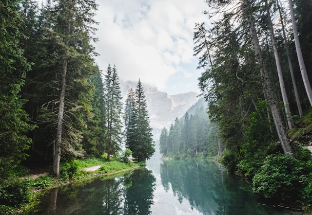 moke lake and forest