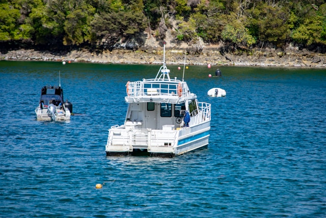 Stewart Island, Southland, New Zealand