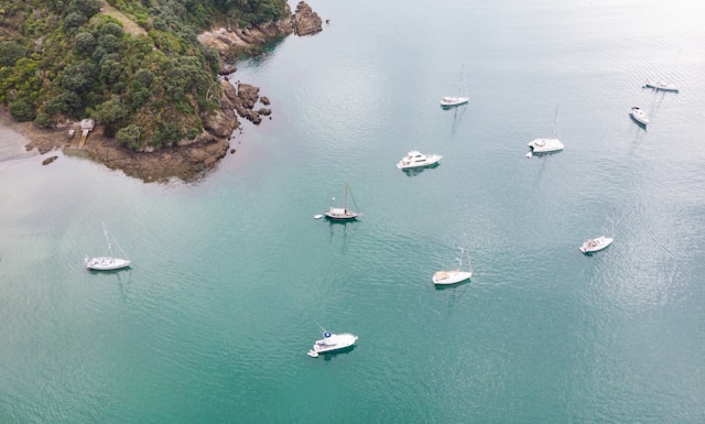 The Ultimate Guide to Exploring Waiheke Island: Where Adventure Meets Tranquility