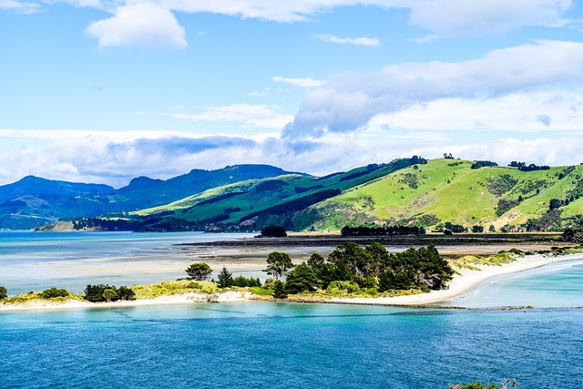 Explore Dunedin, New Zealand: A Captivating City Brimming with Adventure